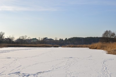 DSC_3797.jpg