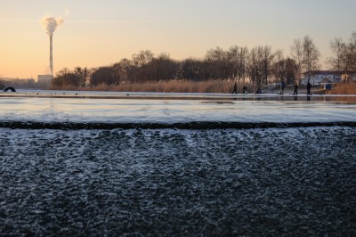 DSC_0206.jpg 1600.jpg