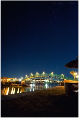 DCA_5486аа.jpg