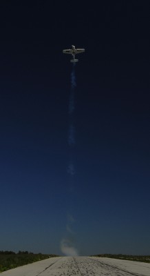 3935873_large.jpg
