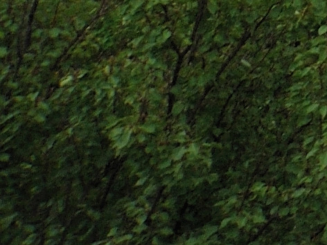 24_85_28mm_nx_crop.jpg
