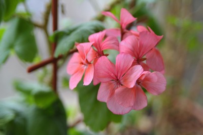 DSC_4167 копия1.jpg