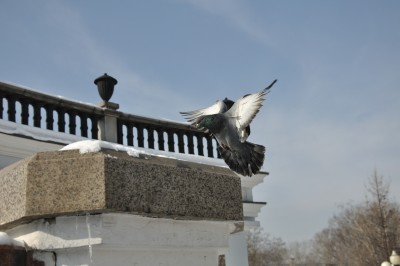 DSC_0067.JPG