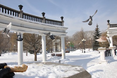 DSC_0072.JPG