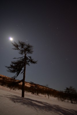 DSC_5644.jpg