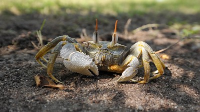 DSC_5514 копия1.jpg