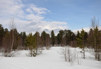 _DSC0677.jpg
