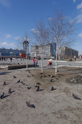 File0157_DxO_w.jpg