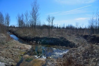 DSC_3898_01_01.JPG