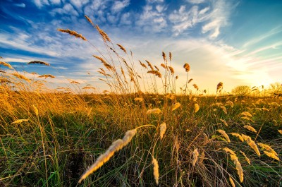DSC_3221.jpg