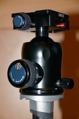 _SVF8576.jpg