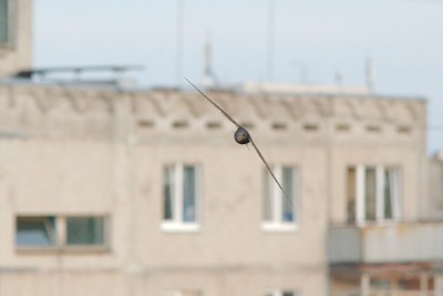 DSA_9371.jpg