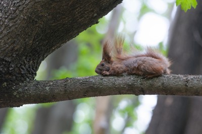 DSC_0236_DxO.jpg m.jpg