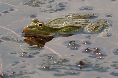 DSC_0101_DxO.jpg