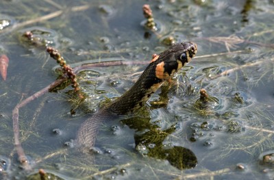 DSC_0147_DxO.jpg