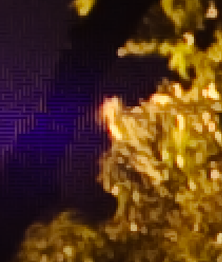 artefact.PNG