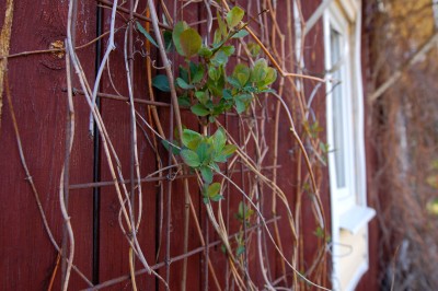 DSC_1599.jpg