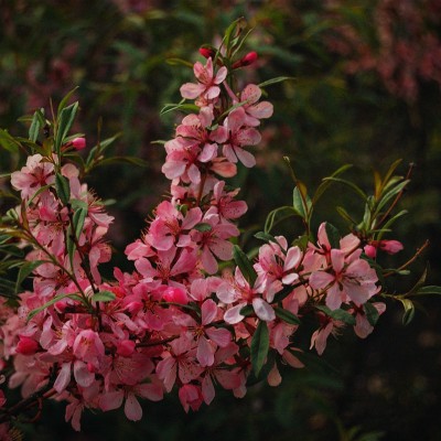 DSC_8468_n.jpg