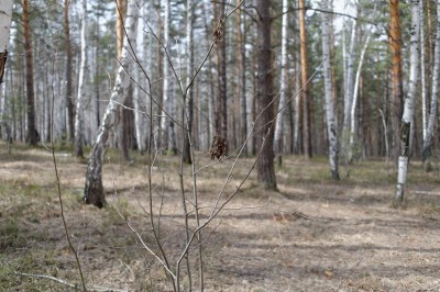 DSC_5118_DxO-2.jpg