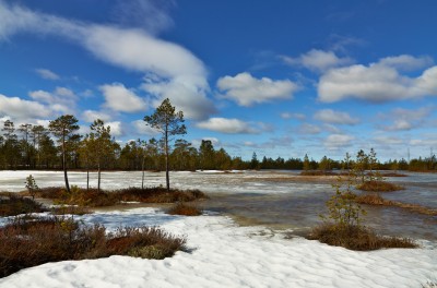 DSC_1014.jpg