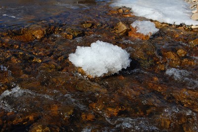 DSC_0123.jpg