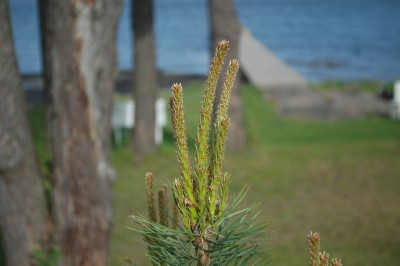 DSC_0144.JPG