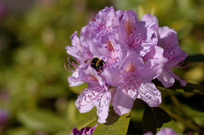 DSC_0572.jpg