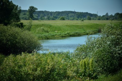 DSC_6023.jpg