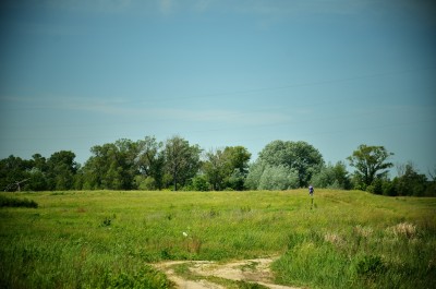 DSC_6027.jpg