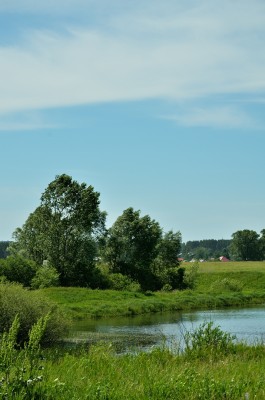 DSC_6033.jpg