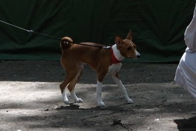 DSC_9696.jpg