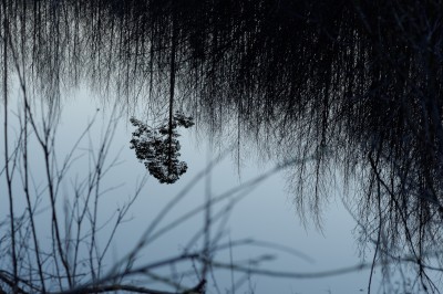 DSC_1325_DxO.jpg
