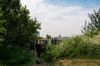 300_3025-1-copy.jpg