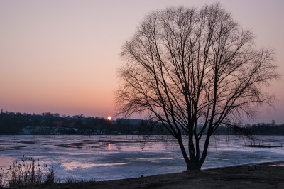 DSC_0896.jpg