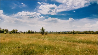 _DSC7252.jpg