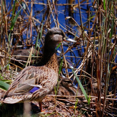 DSC_8670_hdr.jpg