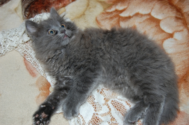 DSC_3103_2.jpg