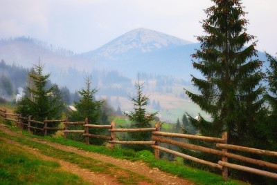 DSC_8707.JPG