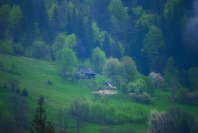 DSC_8886.JPG