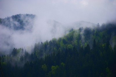 DSC_8841.JPG