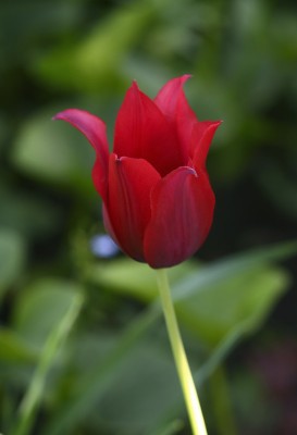ihost_4591.jpg
