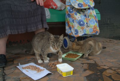 DSCF1653.jpg
