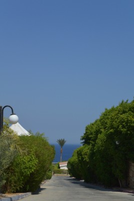 DSC_0133.jpg