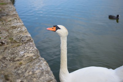 DSC_5727.JPG
