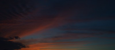 DSC_9123-1-1000.jpg