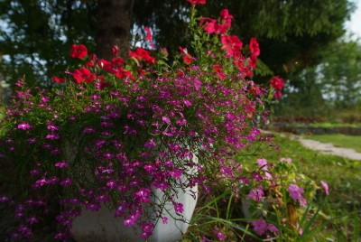 DSCF0629.jpg