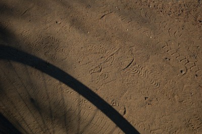 DSC_5352.jpg