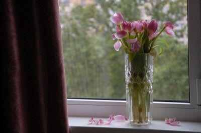 DSC_5665.jpg