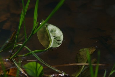 DSCF0318-(2).jpg