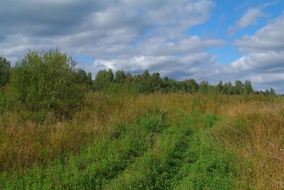 DSCF0298-(2).jpg